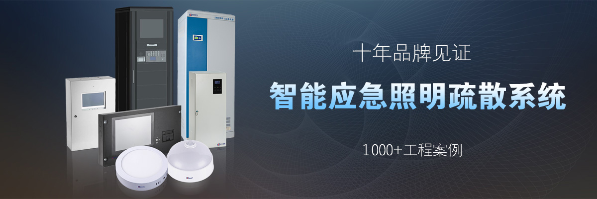 CZ-DL-1KVA-(UBS216V-18A-V8)