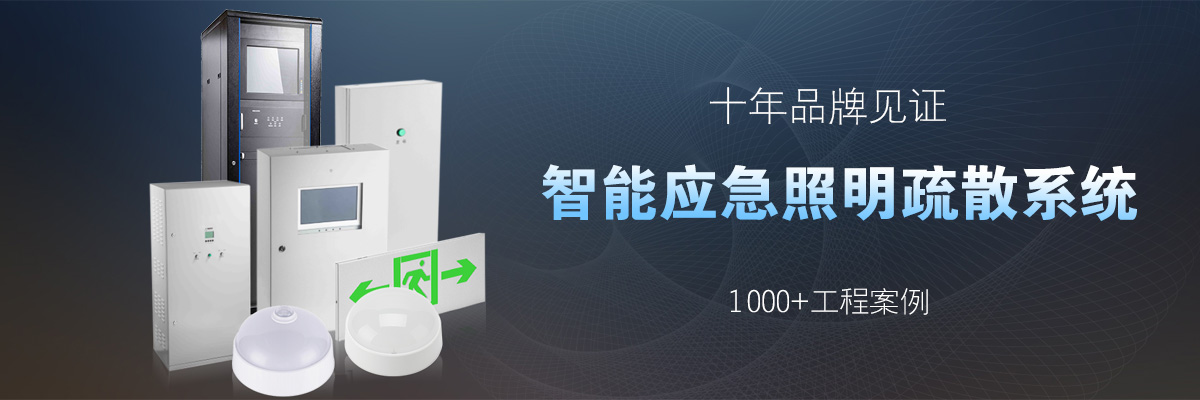 CZ-DL-3KVA-(UBS216V-40A-V8)