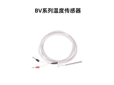 BV系列温度传感器.jpg